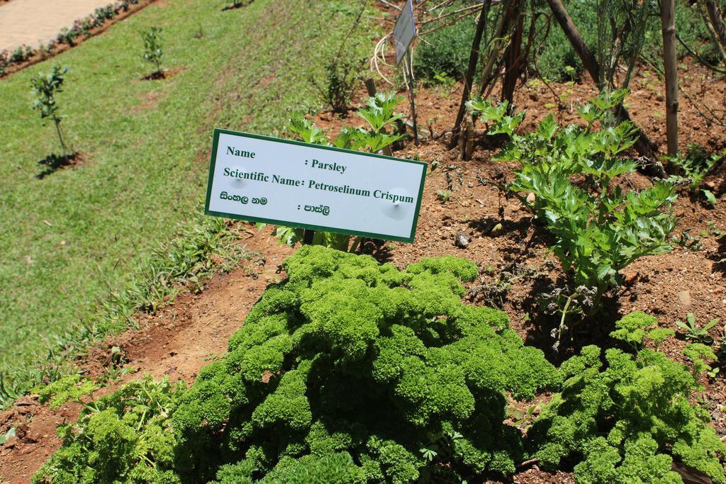 Serene Villa Nuwara Eliya Luaran gambar